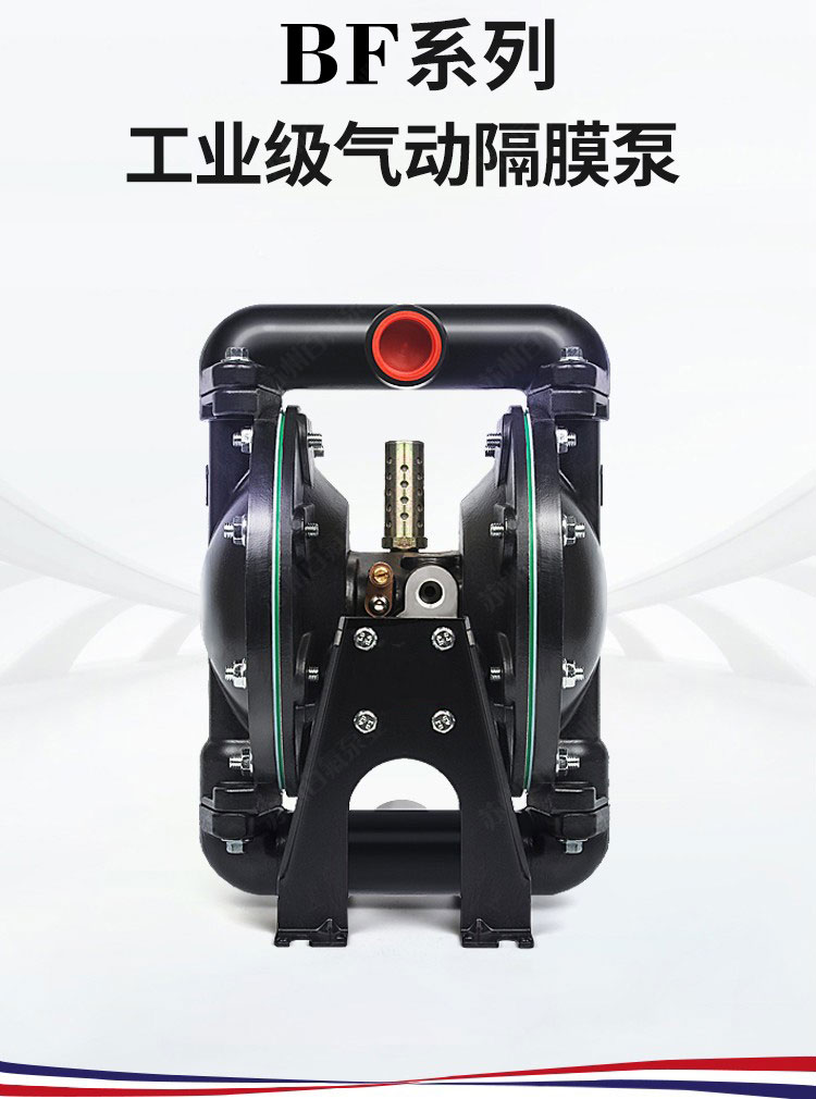 BF型大流量氣動(dòng)隔膜泵(圖1)